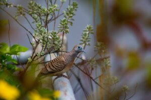 冷却ネックリングは子供にいつから使用できる？