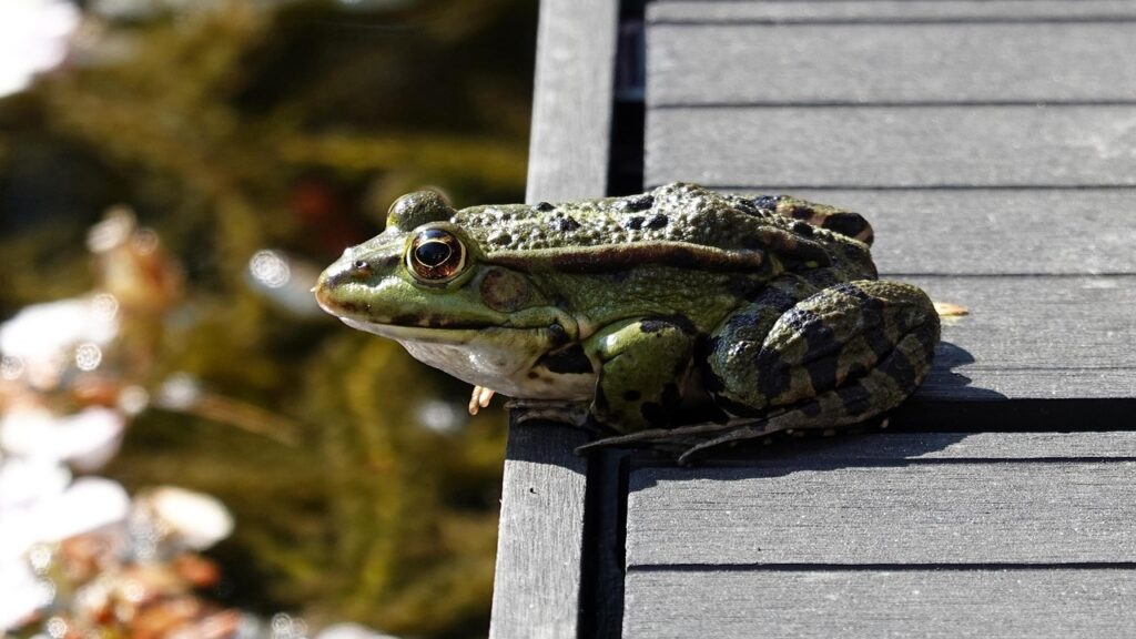 熱中症警戒アラートはいつ送られるのか知りたい？