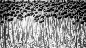 保育園での熱中症対策について保護者が知っておくべき連絡は？