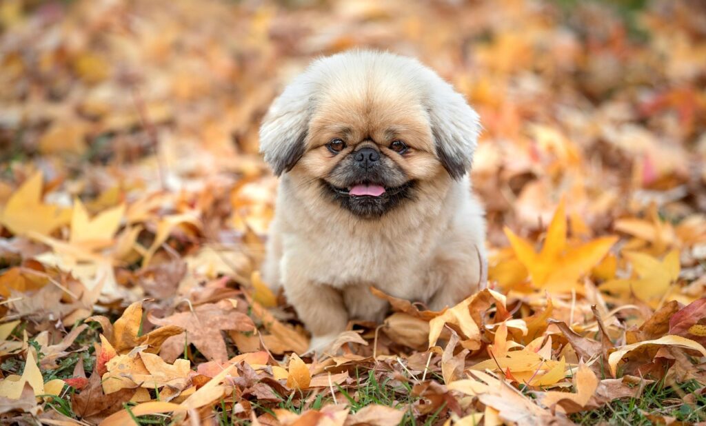 熱中症対策のために家庭内で守るべきルールは？