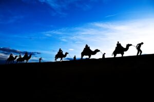 暑さ指数を参考にして夏の健康管理をどう行うべきか？