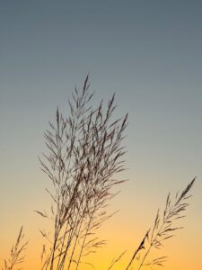 真夏に最適な通気性の良い衣類はどれですか？