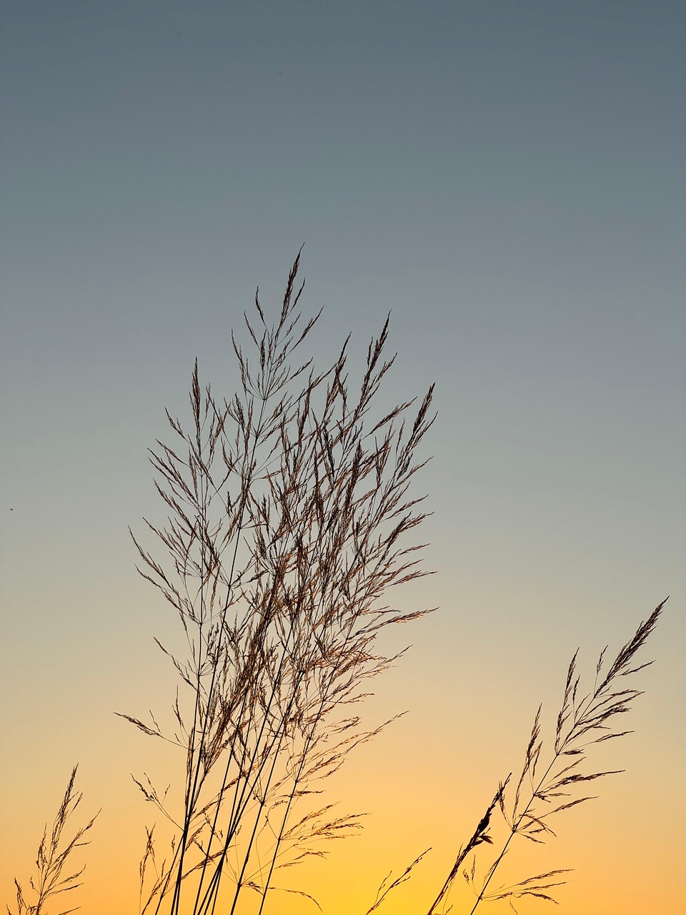 真夏に最適な通気性の良い衣類はどれですか？