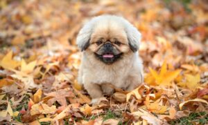 ママ向けの熱中症に関する正しい知識とは？