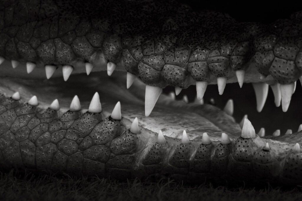 熱中症を防ぐためにママが知っておくべきWBGT指数とは？