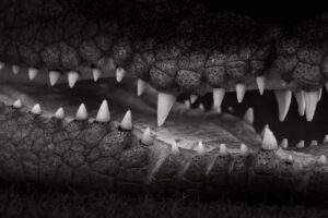 熱中症を防ぐためにママが知っておくべきWBGT指数とは？