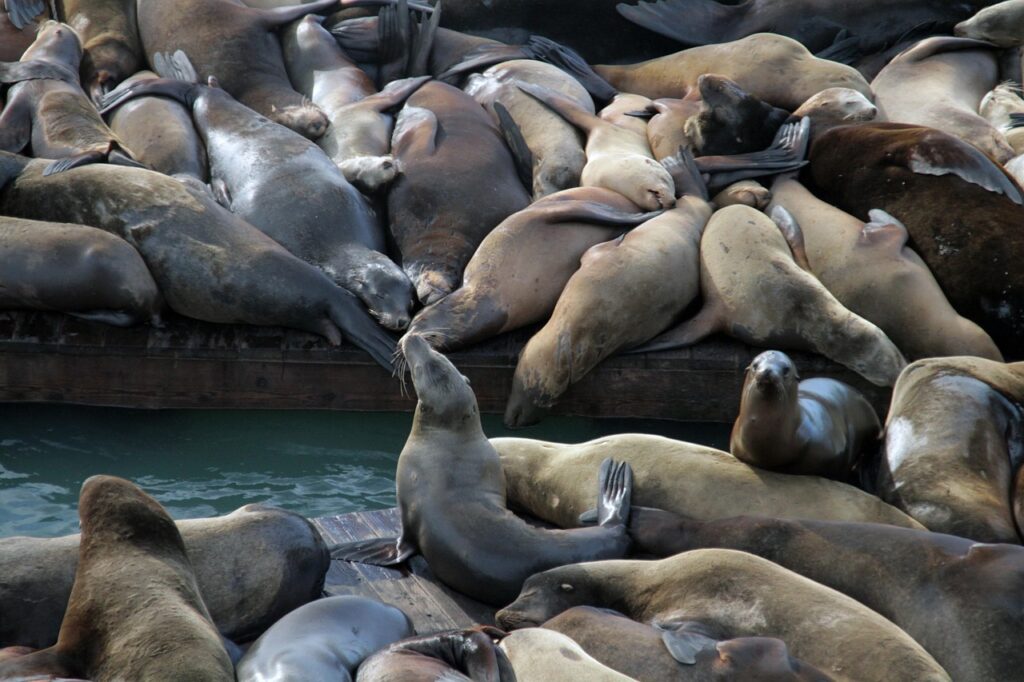 幼児が熱中症で体温39度のときはどうする？