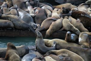 幼児が熱中症で体温39度のときはどうする？