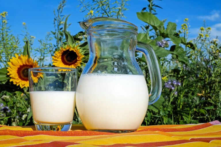 子供の熱中症予防に牛乳はどれくらい効果がある？
